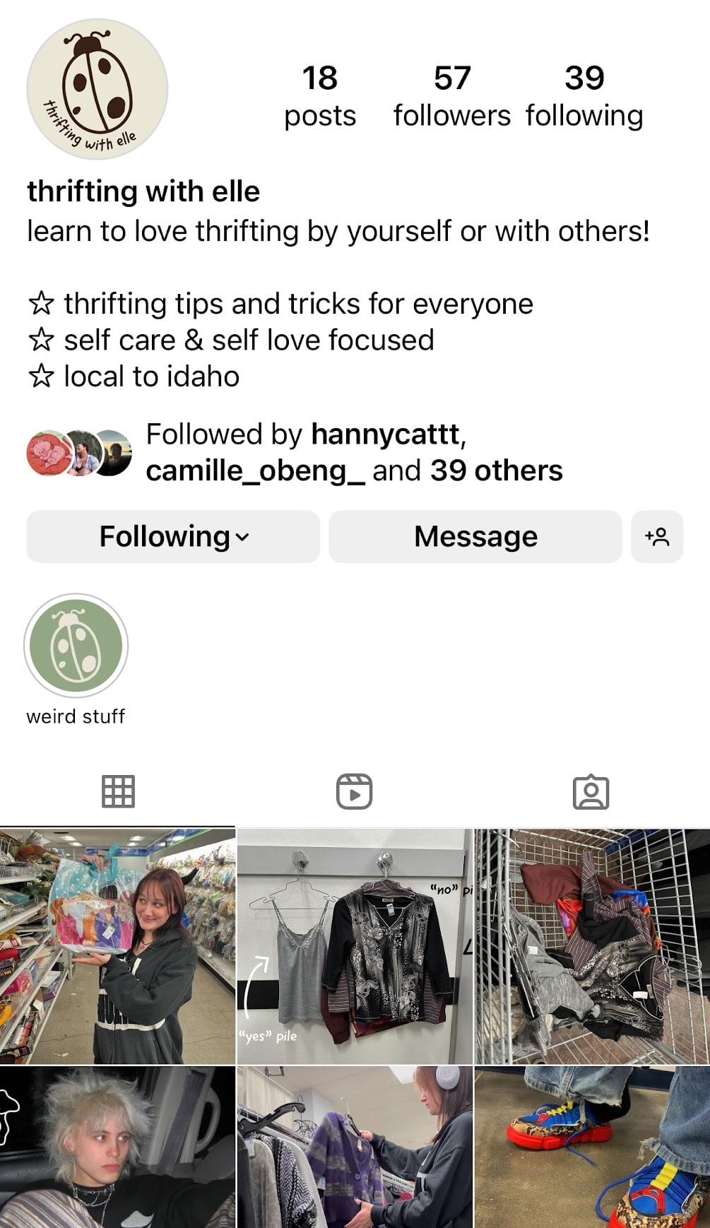 FIXED-thriftingwithelle Screenshot of an instagram account called "Thrifting With Elle".